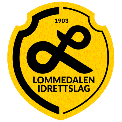 Image for Lommedalen Fotball søker trenere